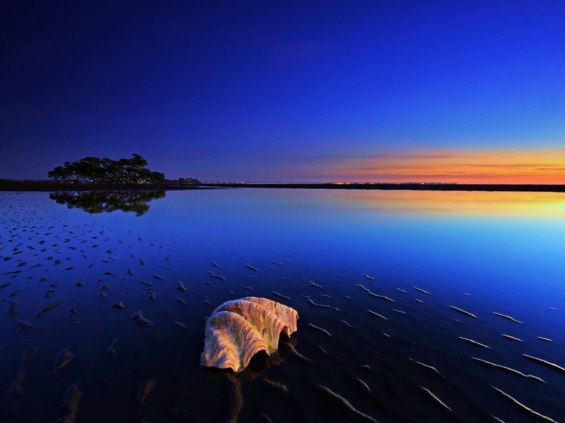 Закат на берегу моря обои