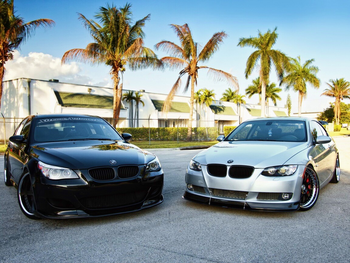 Две БМВ обои