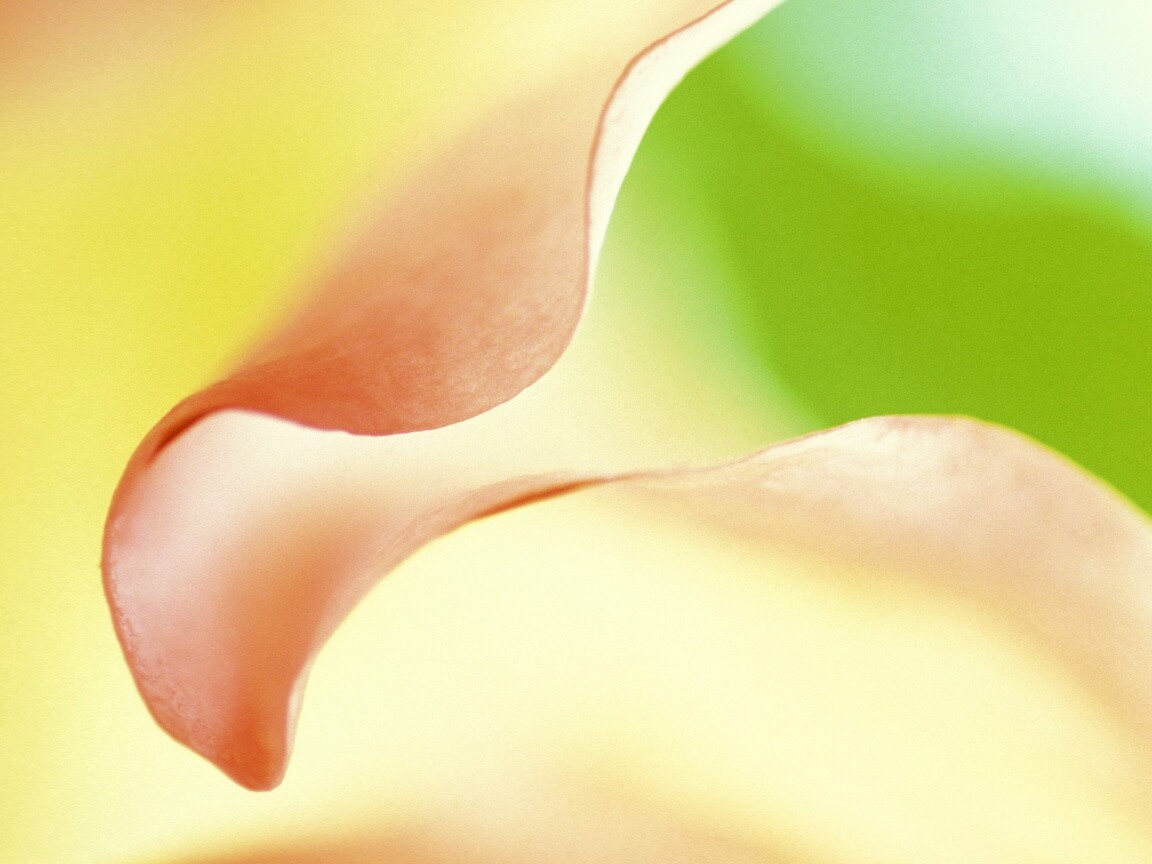 Оттенки природы обои