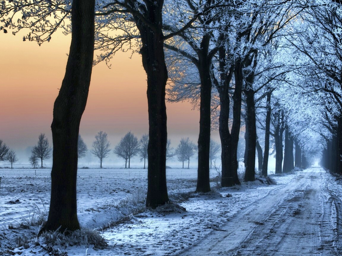 Морозное утро обои