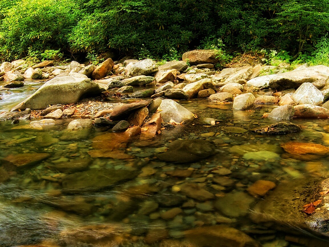 Гораня река обои