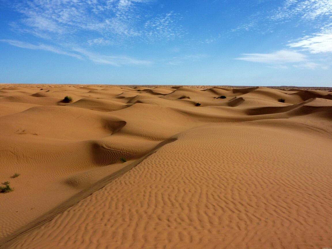 Пустыня до самого горизонта обои