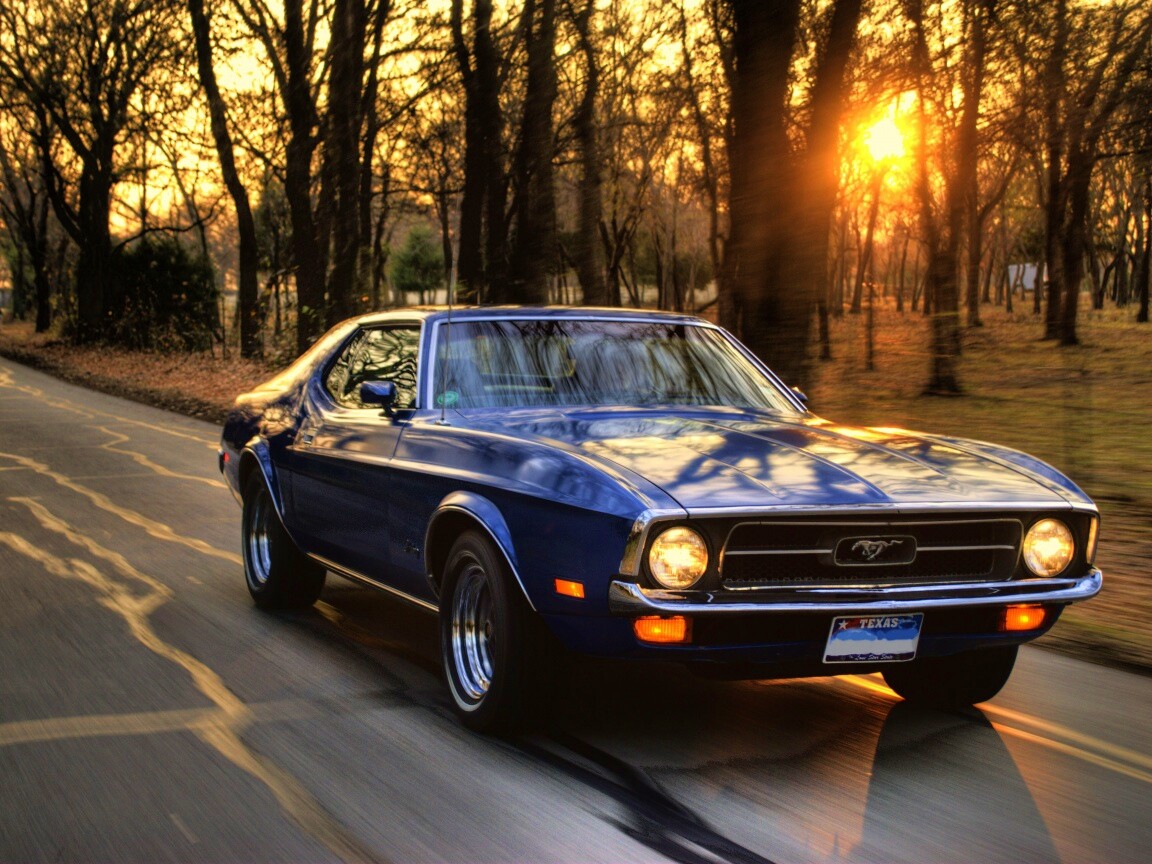 Мустанг обои