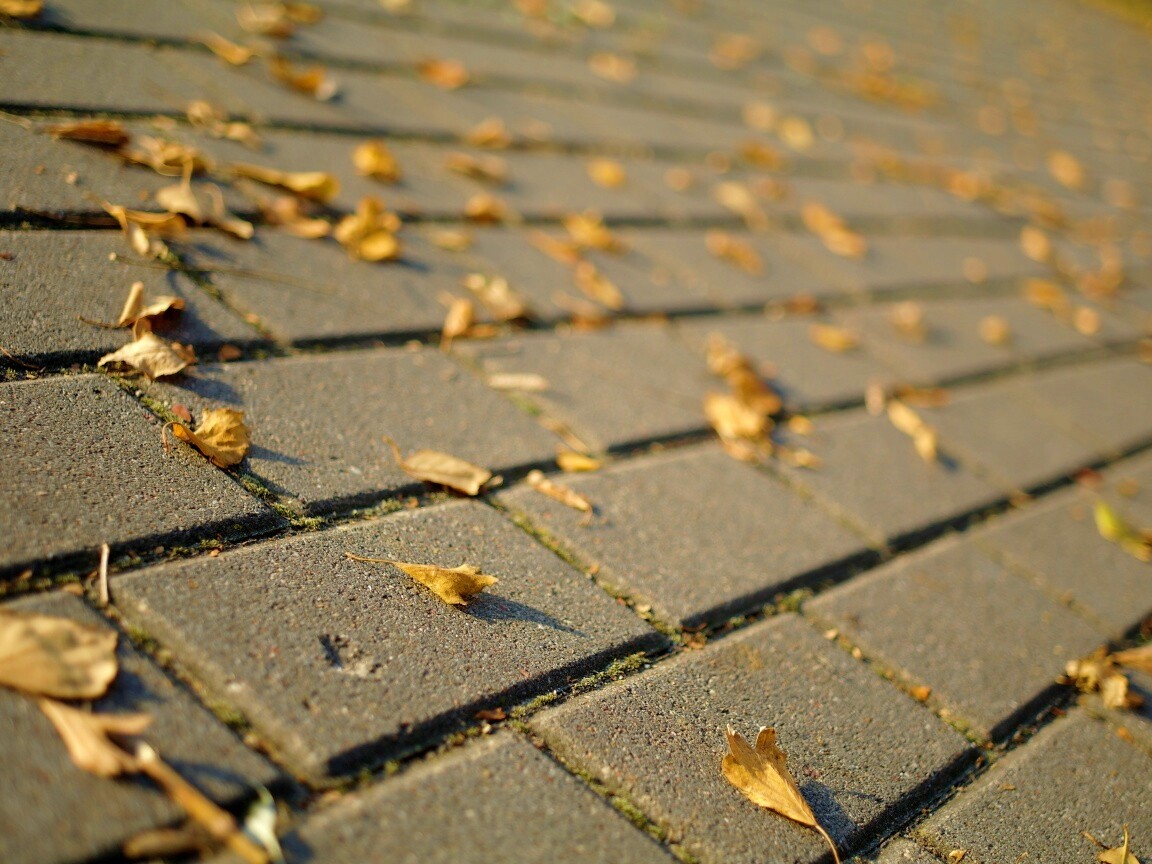 Тротуар обои