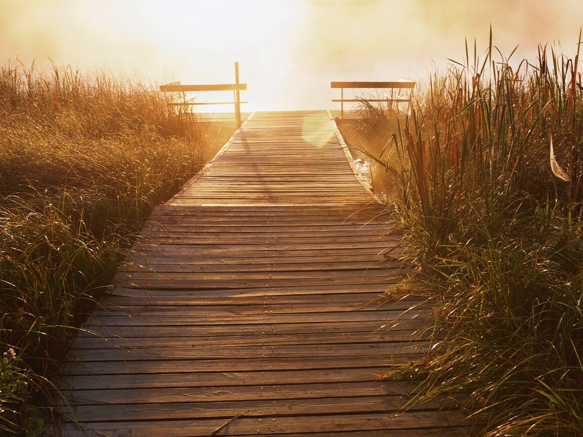 Выход к реке обои