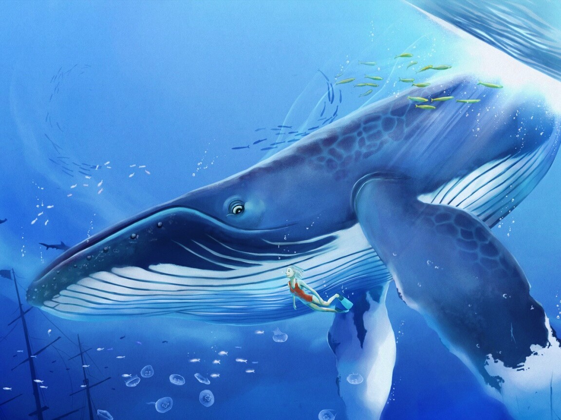 Кит и девушка обои