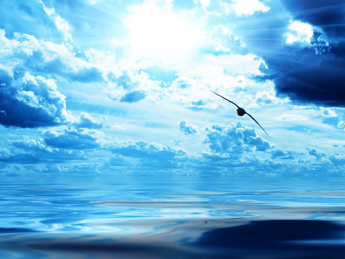 Лети как птица над волнами обои