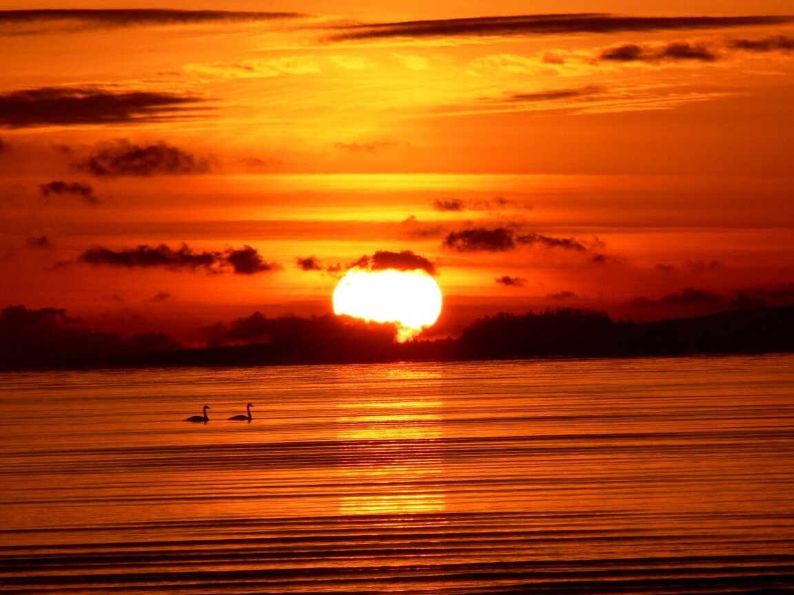 Великолепный рассвет обои