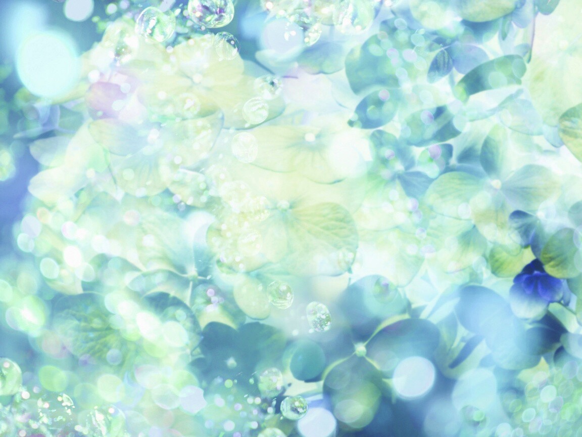 Цветочное нечто обои