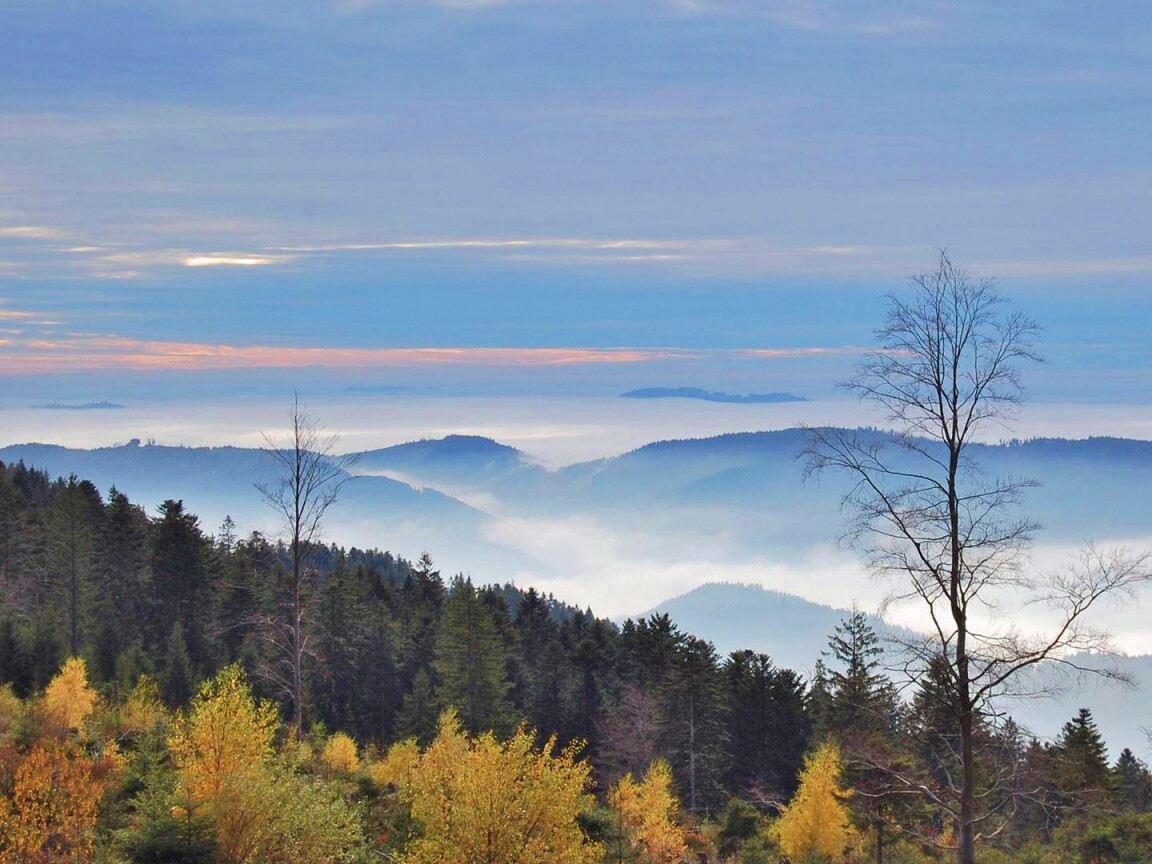 Холмы в тумане обои
