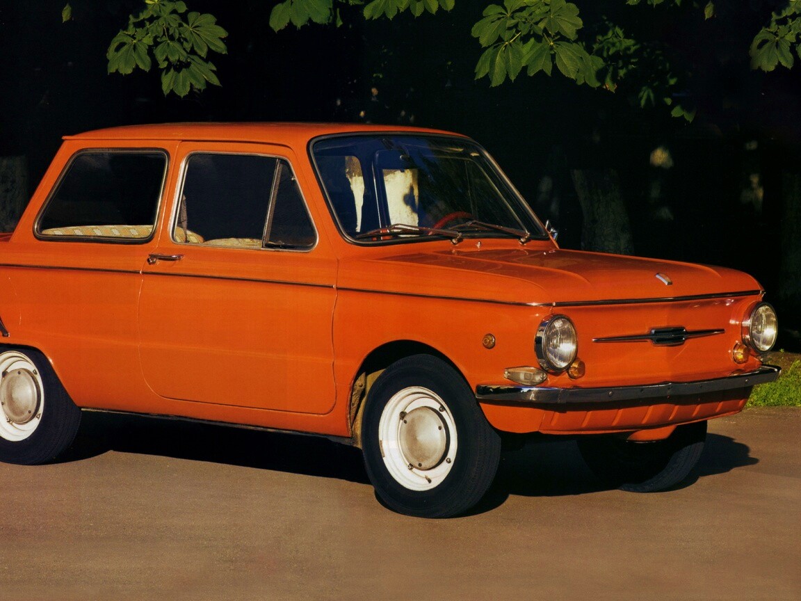 Оранжевый ушастый запорожец обои