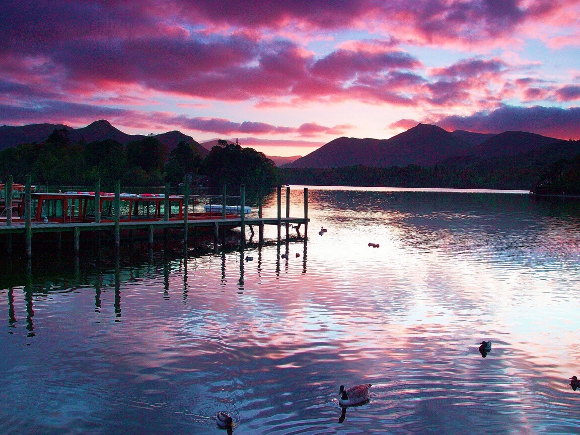 Причал на озере и утки обои