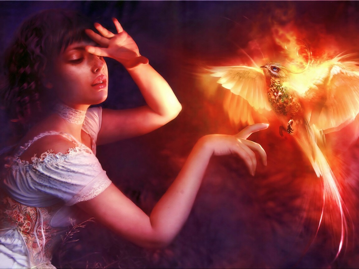 Феникс обои