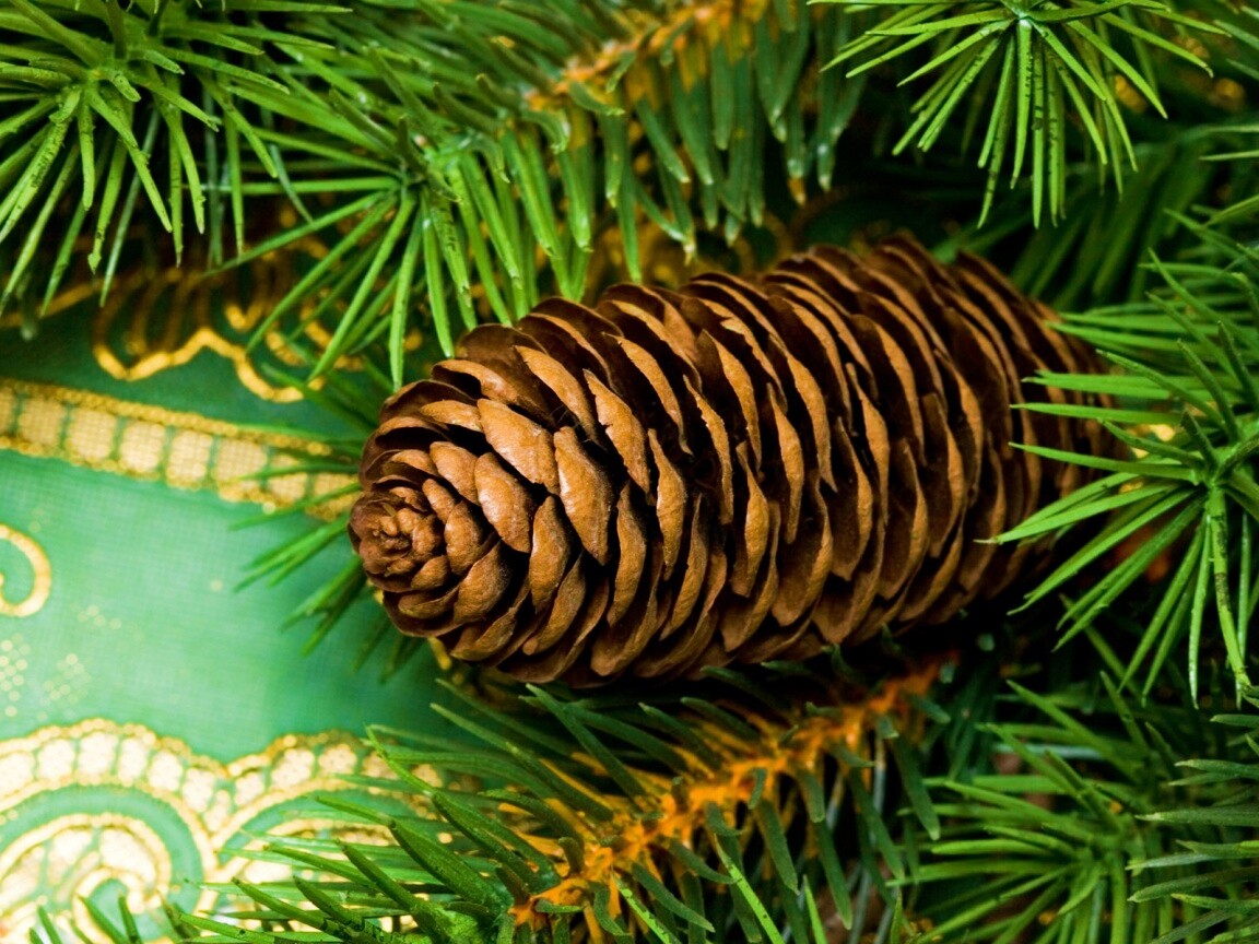 Шишка на елке обои