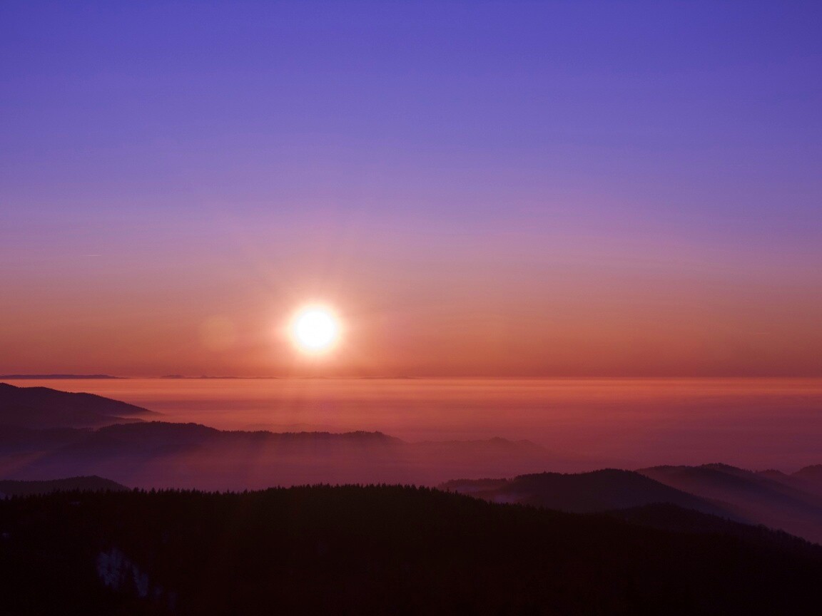 Восход солнца над лесом обои