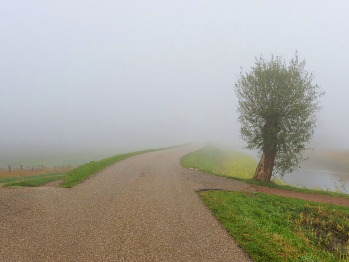 Дорога растворяется в тумане обои
