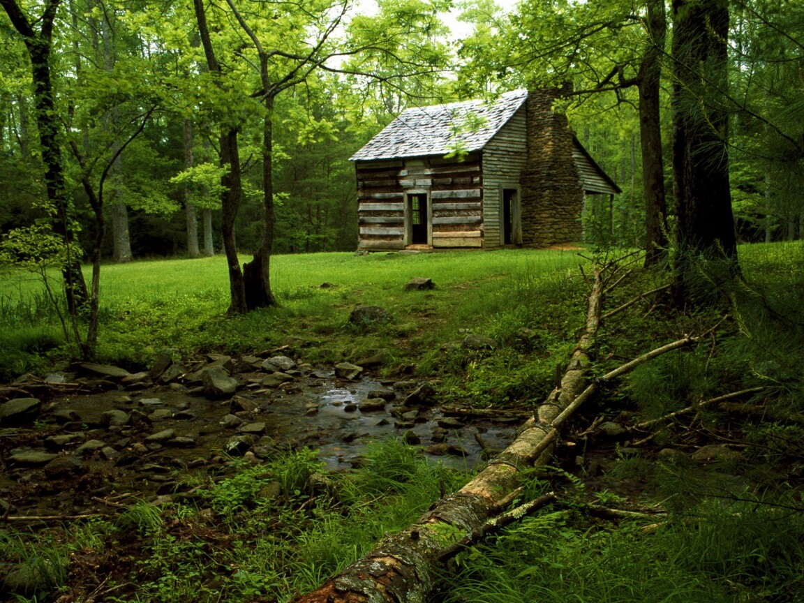 Домик в лесу обои