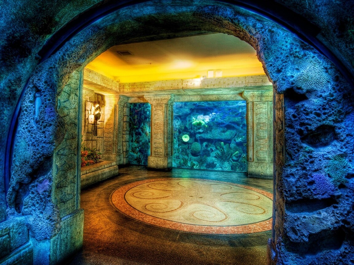 Аквариум обои