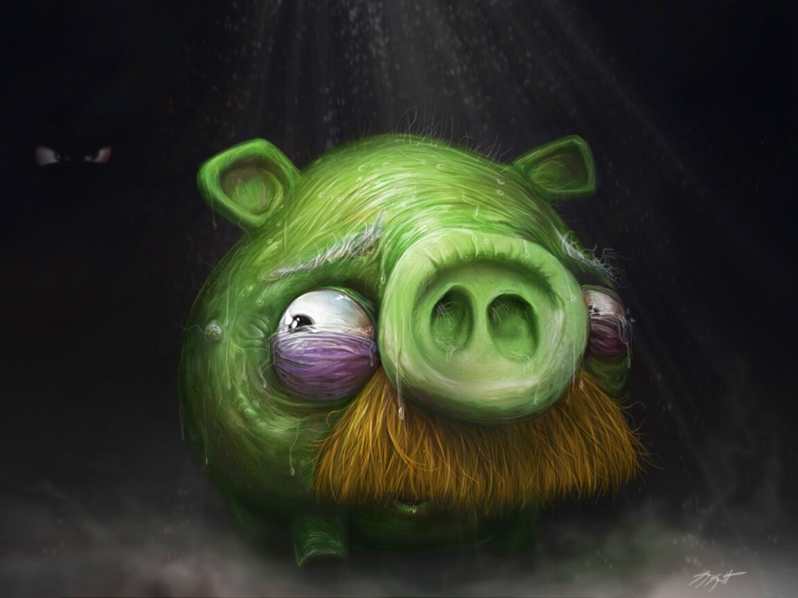 Свинья из Angry Birds обои