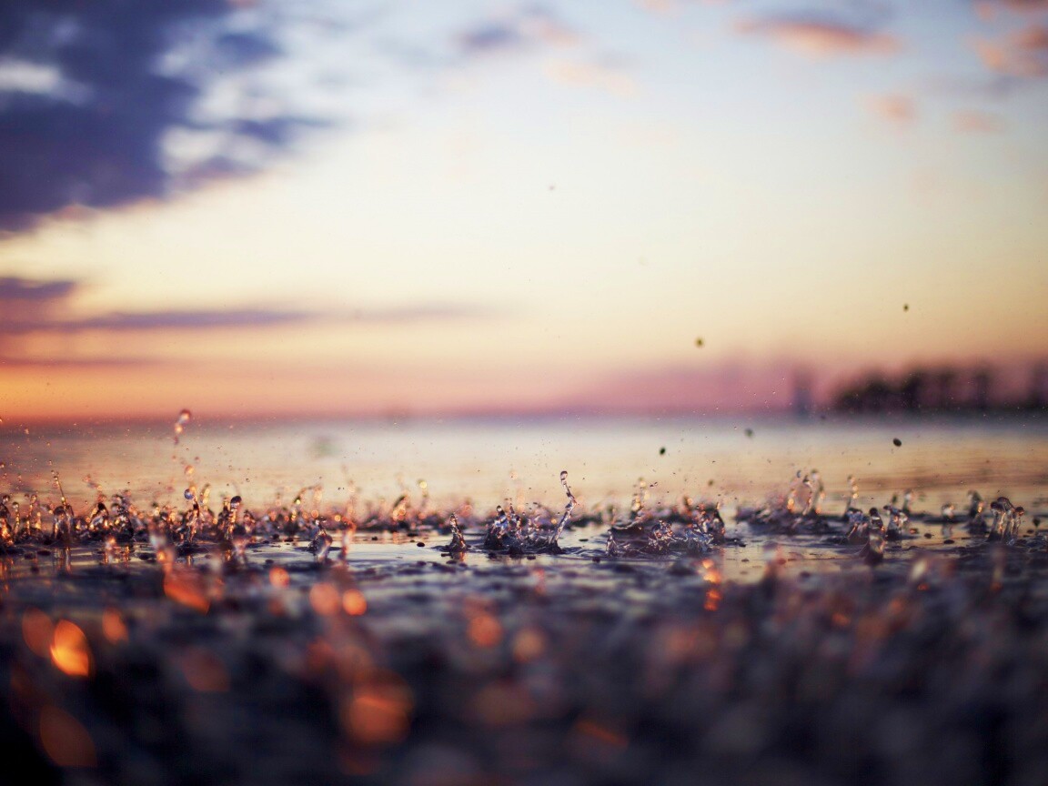 Дождь в макро обои