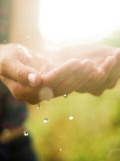 Дождь в ладонях обои