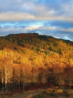 Золотая осень обои