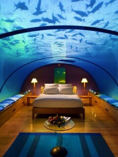 Подводные аппартаменты обои