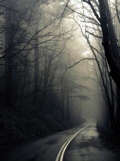 В туман обои