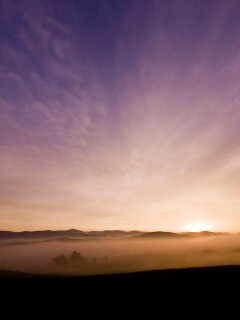 Утренний туман обои