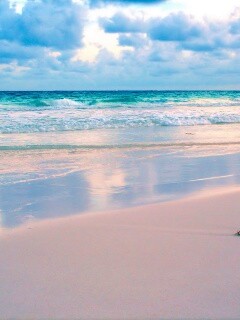 Тропический берег обои