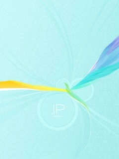 Силуэт птицы обои