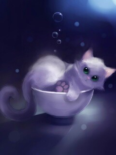 Котёнок в миске обои