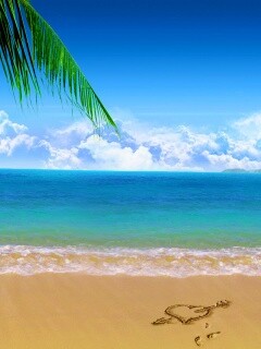 Любовь на океанском берегу обои