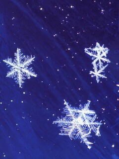 Снежинки обои