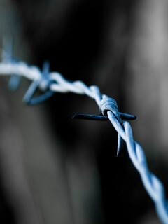 Колючая проволока обои