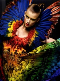 Костюм жар птицы обои