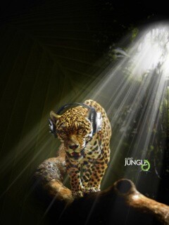 Ягуар в наушниках обои