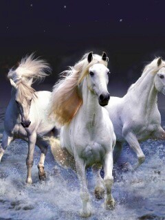 Тройка конец в море обои