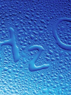 Мормула воды обои