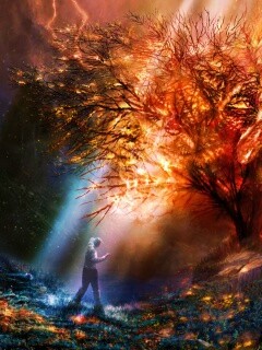 Горящее дерево обои