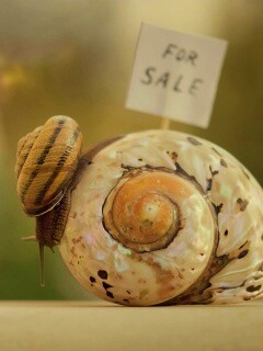 Улитка приматрвиает новый дом обои