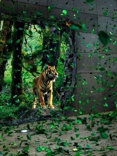 Портал в джунги обои