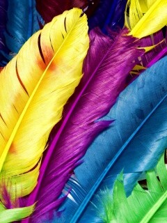 Разноцветные перья обои