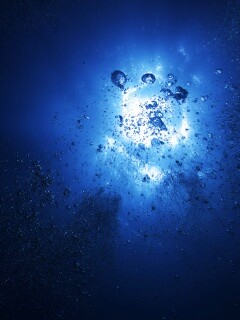 Всплывающие пузыри обои