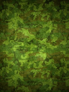 Маскировачная раскраска обои