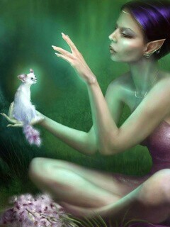 Почет и процветание обои