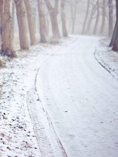 Дорога в зимнем лесу обои