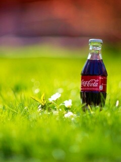 Кока-Кола на траве обои