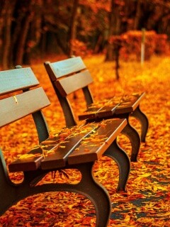 Лавочки в осеннем парке обои