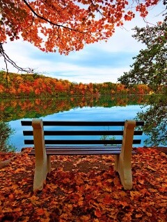 Вид на осеннее озеро обои